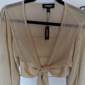 Express shimmer Tie-Front Sweater